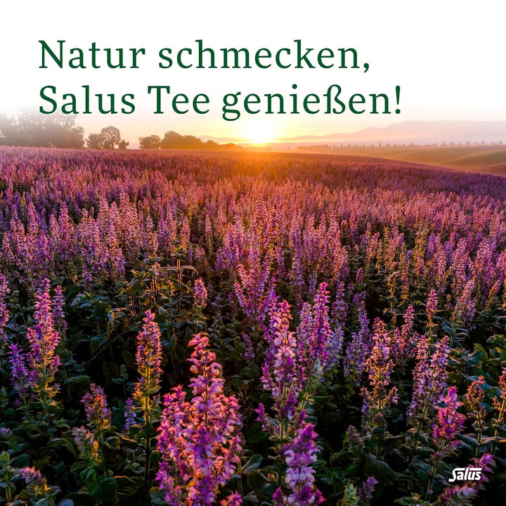 Salus - Ceai de măceșe și malva - 1X 15 pliculețe filtru (45 g) - Ceai de fructe - Compoziție din măceșe și flori de hibiscus african - Răcoritor - Bio