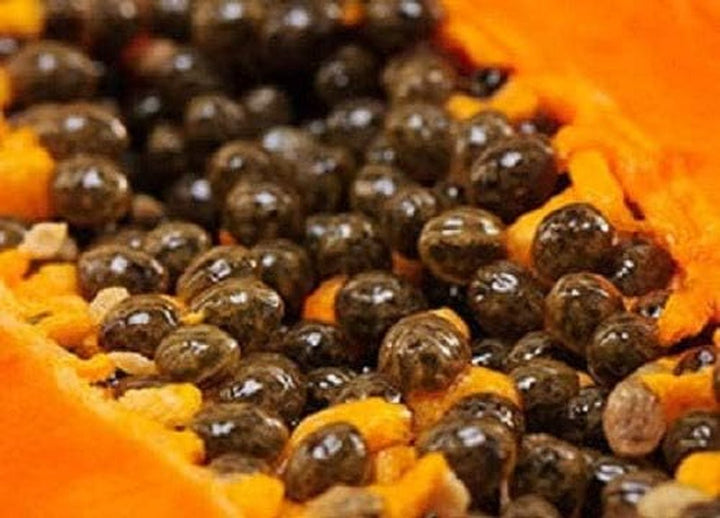 25g CORNELE NATURALE DE PAPAYA - DE CALITATE BRUTĂ, DROGATĂ LA SOARE (SUB 30°C) Produse deshidratate Naty Shop