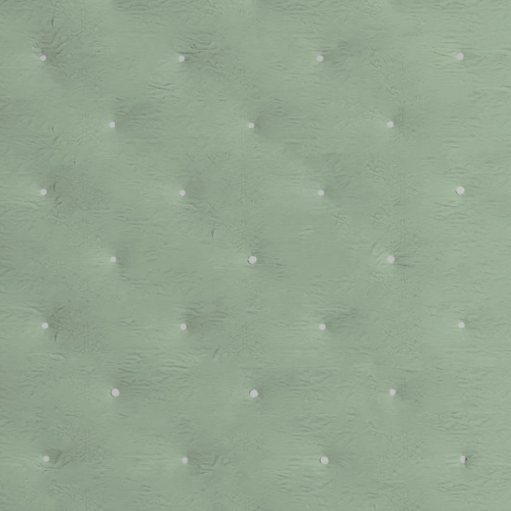 Lenjerie de pat italiană cuvertură de vară CHIC, microfibră, DOUBLE 250X250Cm, verde deschis Plapumi si pilote Naty Shop