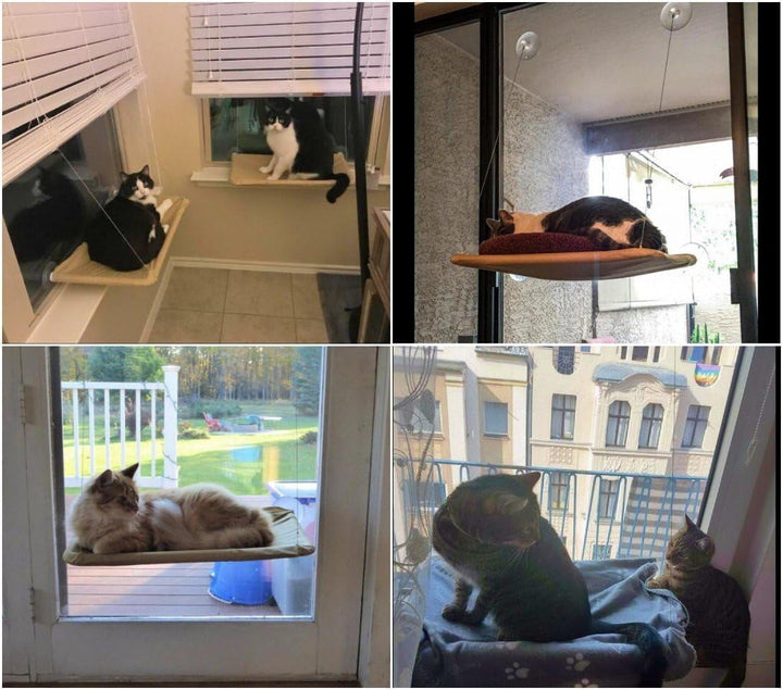 Scaun pentru fereastră pentru pisici, șezlong pentru pisici, hamac + pătură pentru pisici, pat pentru pisici la soare, pat pentru animale de companie pentru pisici, câini mici, iepuri sau alte animale mici