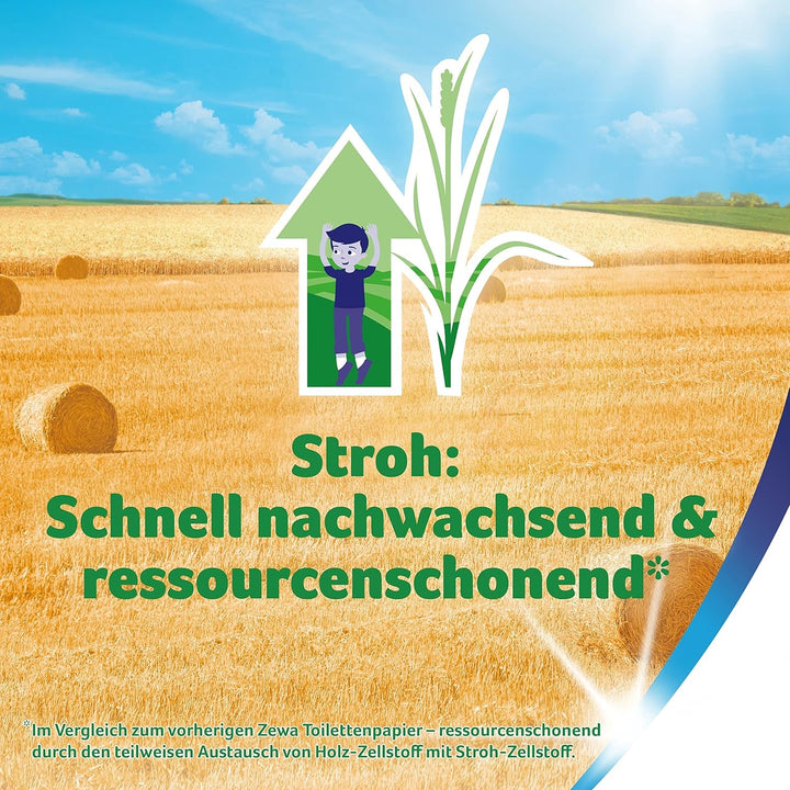 Zewa Premium hârtie igienică cu pai 48 de bucăți, rulouri 6X8, 5 straturi, pachet de stocare