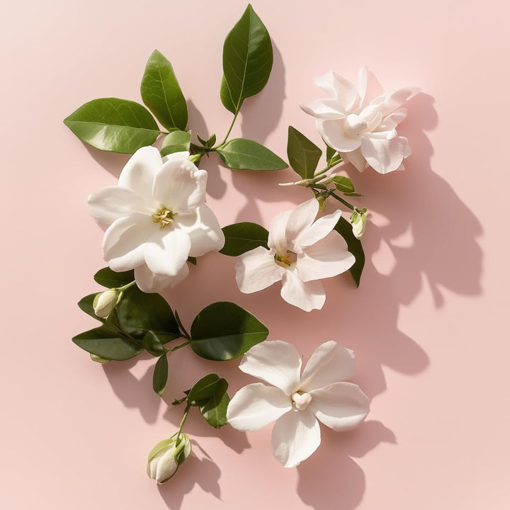 Elie Saab Le Parfum Essentiel 50 ml – Apă de parfum pentru femei – Parfum floral chypre – Note radiante de floare de portocal, iasomie, gardenie și paciuli – Sticlă transparentă din sticlă