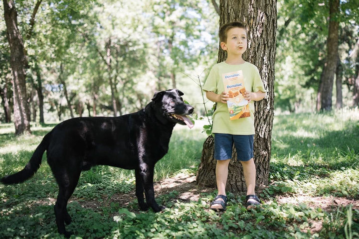 Danalac Babykekse Kakao, 120 G Snacks Und Nahrung Für Kleinkinder Ab 6 Monaten Mit Kalzium, Eisen Und Vitaminen