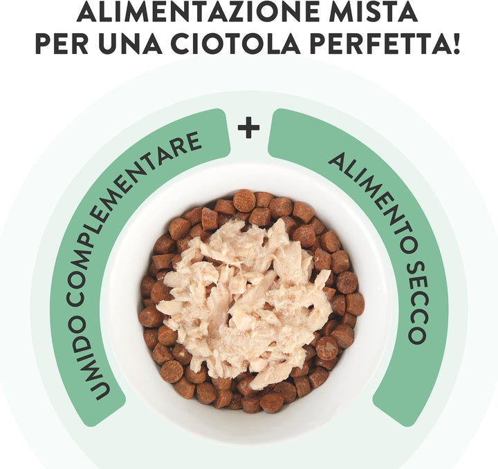 , File de ton cu merluciu în jeleu, Hrană umedă complementară pentru pisici, Rețetă originală, 100% naturală, 12 pungi a câte 70 g