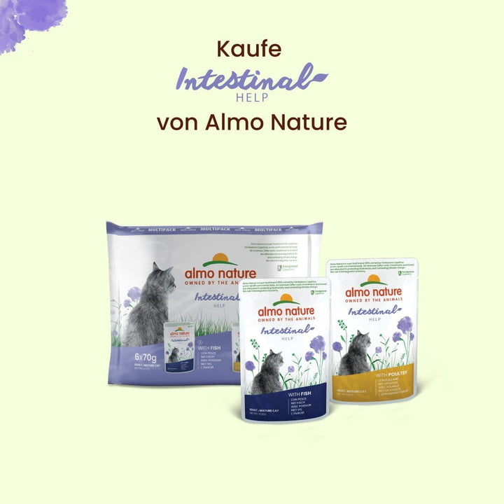 Almo Nature Holistic Intestinal Help - Hrană umedă pentru pisici adulte - Cu carne de pasăre - 70G, pachet de 30