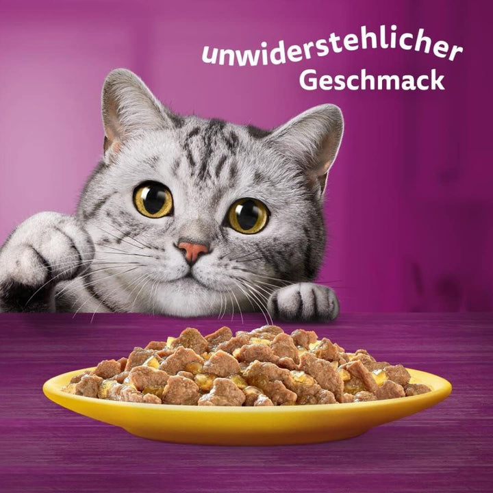 Whiskas 1 + Cat Food Poultry Selection in Jelly, 12X85G (4 pachete) - Hrană umedă de înaltă calitate pentru pisici adulte în 48 de plicuri