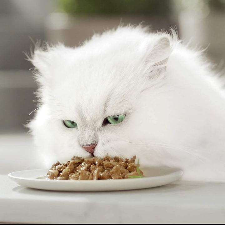 Purina Mon Petit Moisture Cat cu carne de vită, ficat, vânat, 48 pungi la 50 G