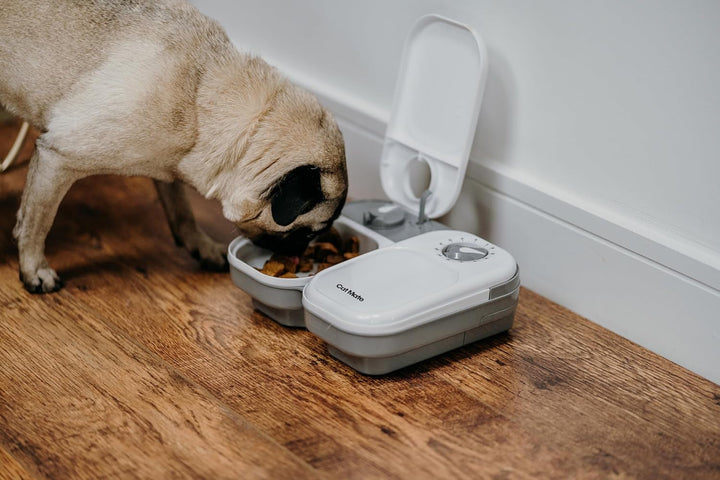 Cat Mate C200 Hrănitoare automată pentru 2 mese cu cronometru (401) - pentru pisici și câini mici, inclusiv baterie de răcire pentru hrană umedă și uscată, mese de până la 400 g fiecare, alb