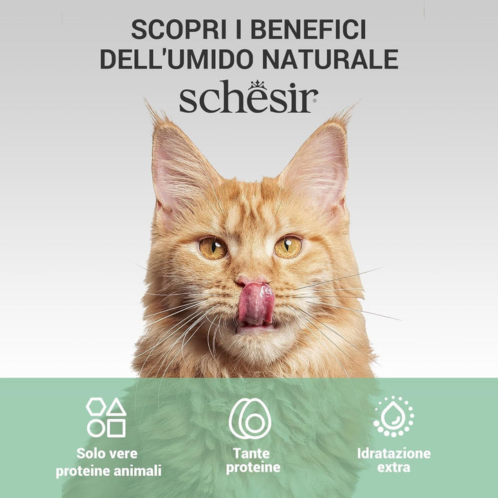 , Supă cu fileuri de ton cu morcovi și dovleac, hrană umedă complementară pentru pisici, rețeta originală, 100% naturală, 12 pungi la 40 G