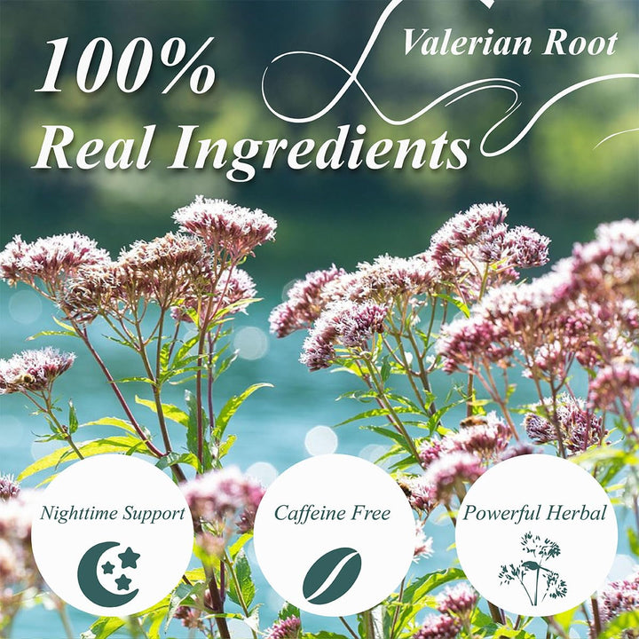 WEETEE Ceai de valeriană, 228 g Ceai din rădăcină de valeriană Frunze întregi, fabricat din rădăcină de valeriană tăiată și cernută, pentru preparare acasă, ceai din plante natural fără cofeină