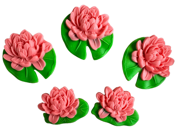 Set 5 decorazioni commestibili dalla pasta di zucchero, gigli di acqua rosa