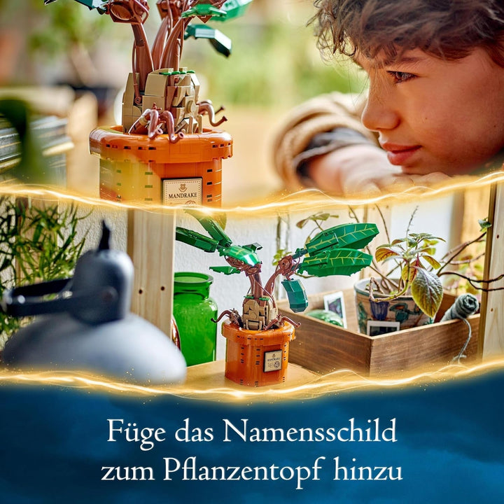 LEGO Harry Potter Magic Potion Plant: Mandrake, jucărie plantă cu ghiveci, cadou magic pentru fete, băieți și toți fanii, set de joacă pentru copii imaginativi, decorațiuni interioare 76433