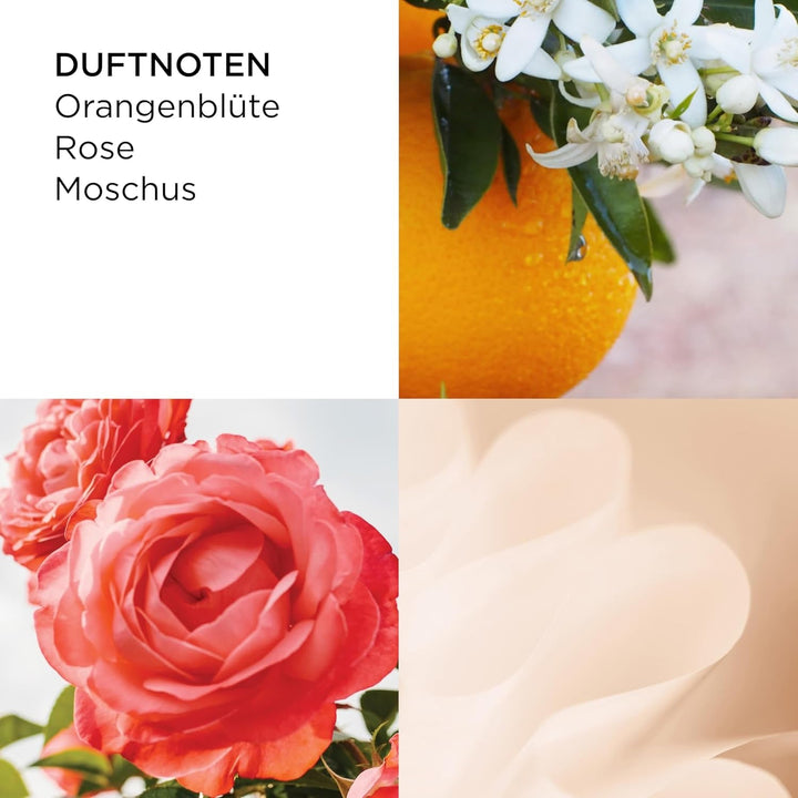 Elizabeth Arden - Floarea-soarelui - Apă de toaletă, primăvară, fructată, spumoasă, apă de toaletă cu flori de portocal, iasomie și lemn de santal pentru femei - 100 ml