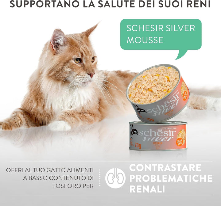 Silver, aromă de ton și macrou, hrană umedă completă pentru pisici în vârstă (12 cutii a 70 g)
