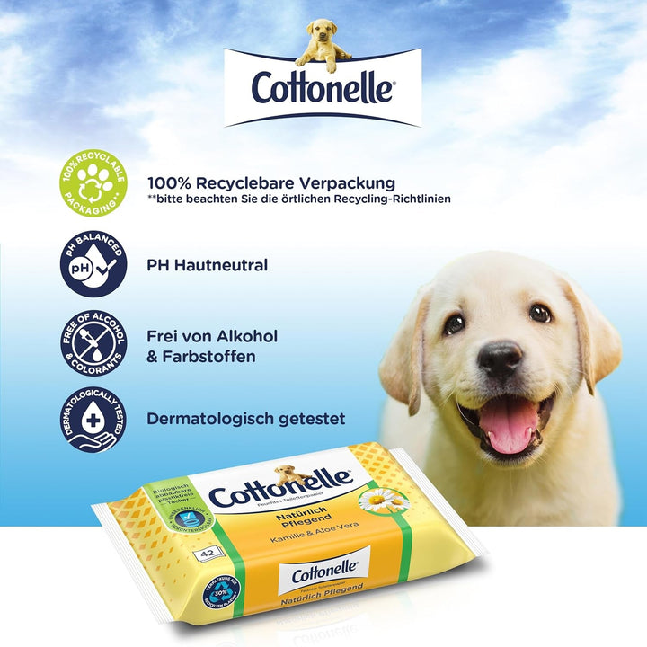 Șervețele umede, Îngrijire naturală - Mușețel și Aloe Vera, Biodegradabilă, Fără plastic, Reclosabilă, Pachet avantajos, 12 X 42 șervețele umede