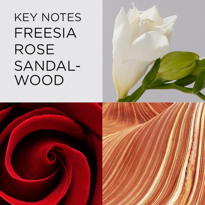 Elizabeth Arden Red Door – Apă de toaletă pentru femei, parfum clasic-elegant pentru femei, aromă florală și caldă pentru femei, parfum armonios de zi cu zi, 50 ml