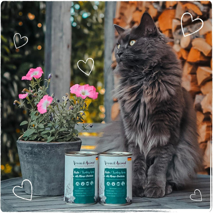 Venandi Animal Premium Hrană umedă pentru pisici, curcan ca monoproteină, 6 x 800 g, fără cereale și naturală, 4,8 kg