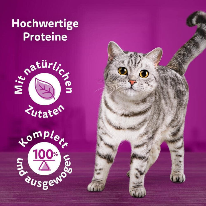 Hrană pentru pisici Whiskas 1+ Pure Delight Classic Selection in Jelly, 12X85G (4 pachete) - Hrană umedă de calitate superioară pentru pisici adulte în 48 de plicuri