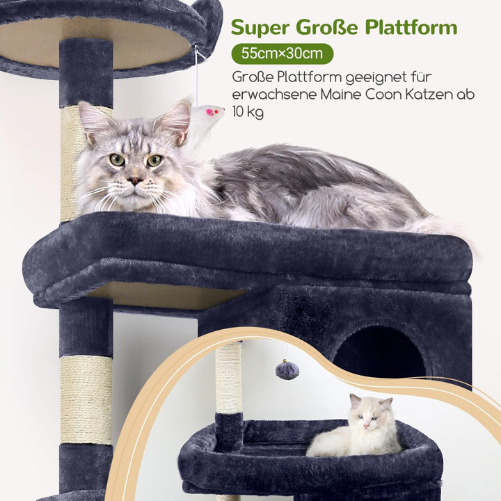 Ansamblu de pisici pentru Maine Coon, ansamblu de 183 cm înălțime, cu căsuță mare, platforme, stinghii, coș, pat pentru pisici, grajd, ansamble pentru pisici adulte de talie mare, peste 5 kg (S72, gri fumuriu)