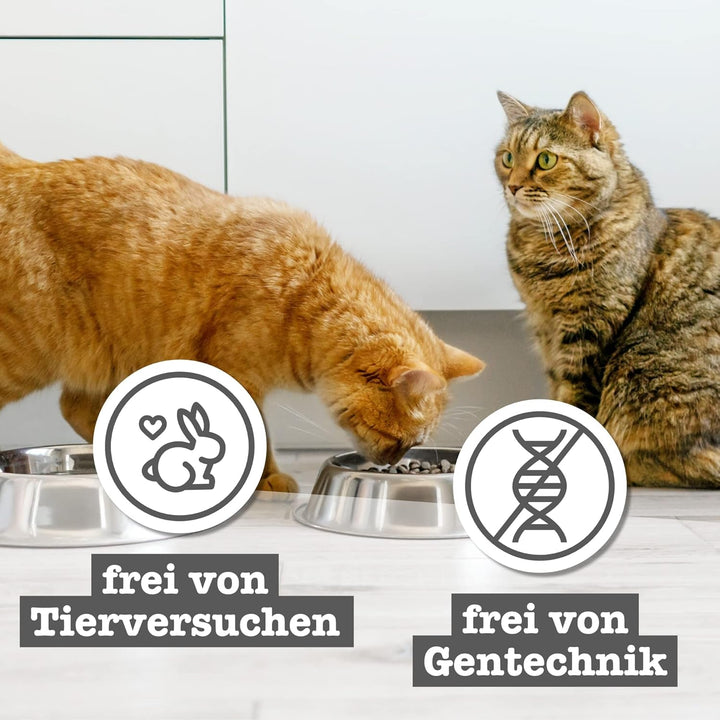 Hrană umedă pentru pisici Catz Finefood Senior Collection - Hrană umedă premium pentru pisica dumneavoastră senior - fără cereale, fără zahăr, conținut ridicat de carne, vitamine și minerale (cutie 6 X 200G)