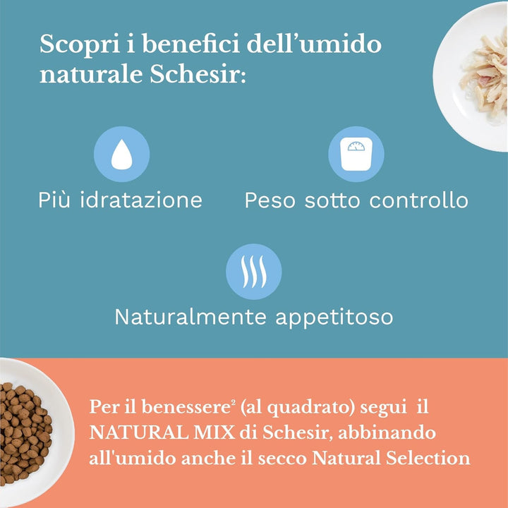 , Hrană umedă pentru pisici adulte, fileuri de pui în fileuri și jeleu 100% natural, pachet de 6 cutii X 85 G