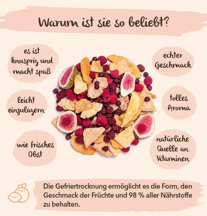 BRIX Ananas liofilizat | Natural, ananas uscat 95 g | Great Taste Award fructe uscate, ananas liofilizat | Fără OMG, fără gluten, vegan, vitamine reținute Produse deshidratate Naty Shop