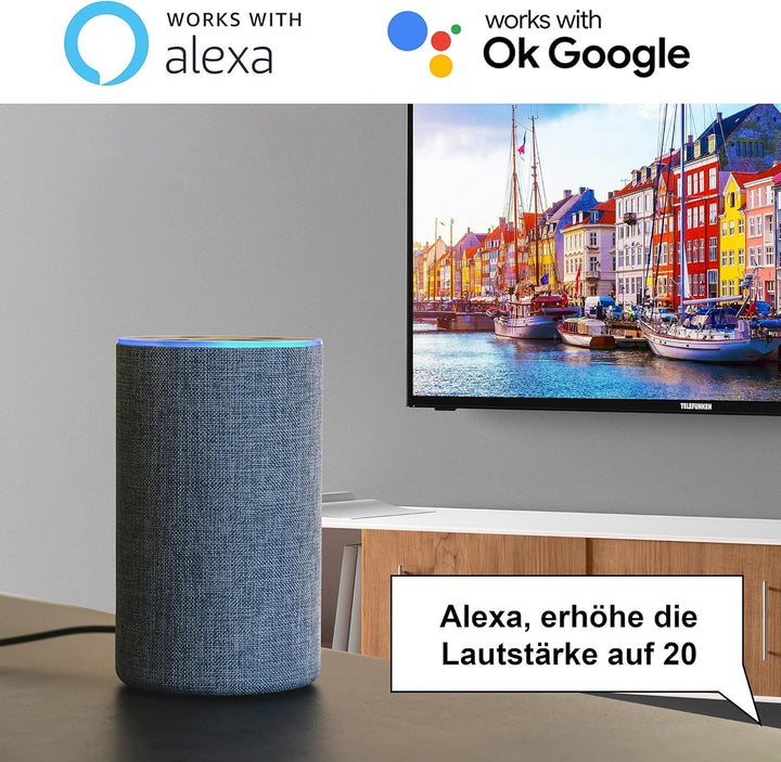 TELEFUNKEN XH24SN550MVD 24 Zoll Fernseher/Smart TV (HD Ready, HDR, Triple-Tuner, 12 Volt, Dvd-Player) - 6 Monate HD+ Inklusive [2023], Schwarz