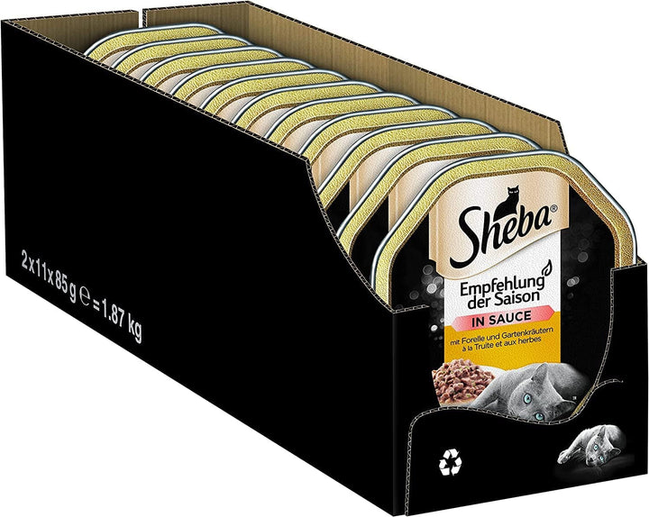 SHEBA Bowl Hrană umedă pentru pisici Clasici în pateu cu somon 2 X 11 X 85G