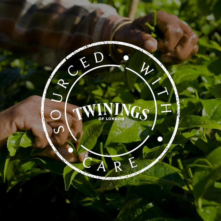 Ceai negru Twinings LADY GREY vrac în cutie de ceai – ceai negru, amestec de soiuri de ceai chinezesc cu coajă de portocală și lămâie, completat cu aromă de bergamotă (200 g)
