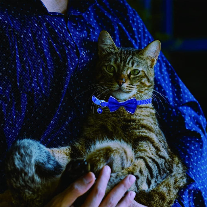 Zgardă pentru pisică cu clopoțel în 6 culori, zgardă personalizată cu papion drăguț, cataramă de siguranță, zgarzi reglabile pentru animale de companie pentru fete, băieți, pisoi, căței, căței mici