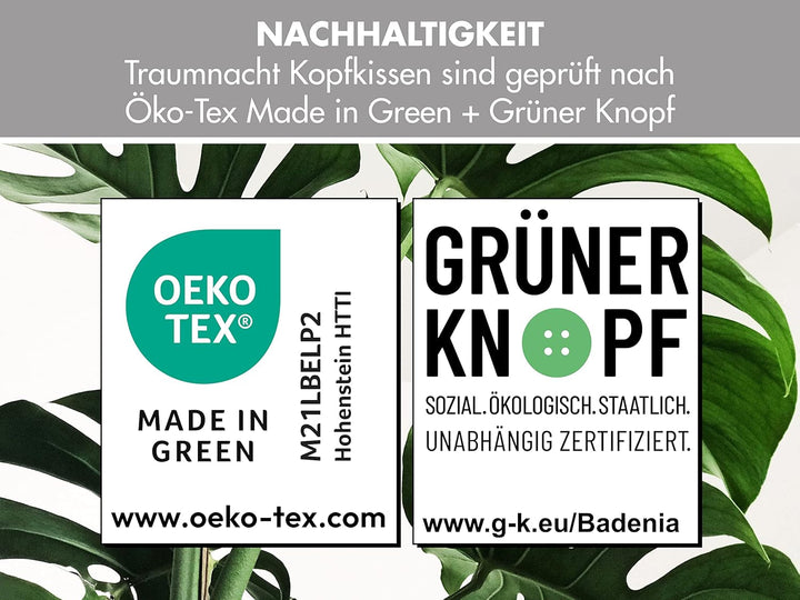Traumnacht Cozy - Set de 2 perne cu husă din microfibră moale, pernă certificată Oeko-Tex cu fermoar, 80X80 cm, produsă în conformitate cu standardul de calitate german Perne standard Naty Shop
