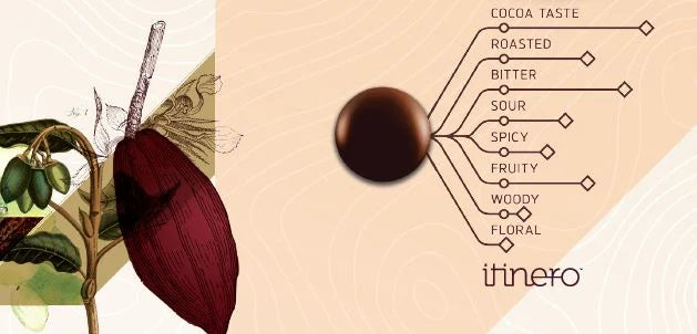 Ciocolata Neagra 72 % Venezuela, 1 kg, Cacao Barry Materii Prime Profesionale Naty Shop