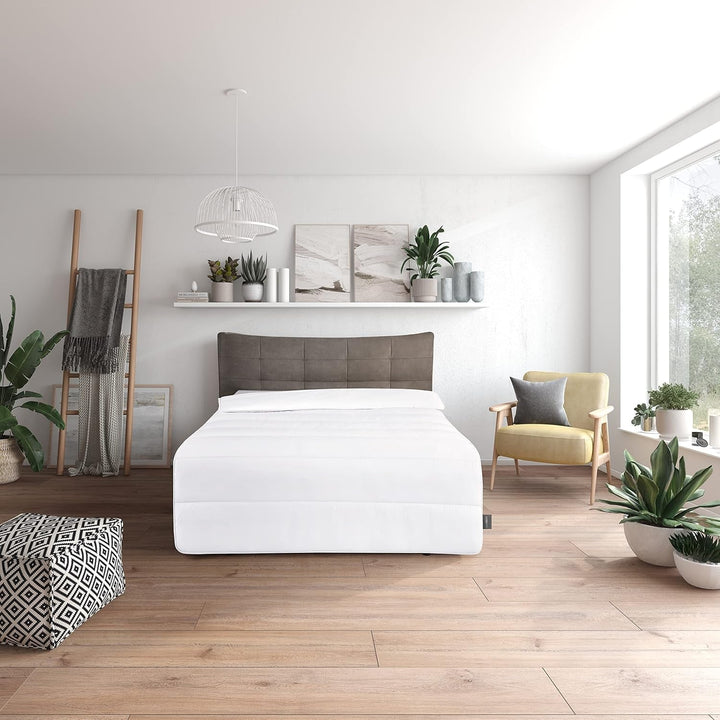 Set de pat Traumnacht Green - Plapumă pentru toate anotimpurile 135X200 Cm + pernă 80X80 Cm, durabil cu husă din microfibră, produs în conformitate cu standardul de calitate german Plapumi si pilote Naty Shop