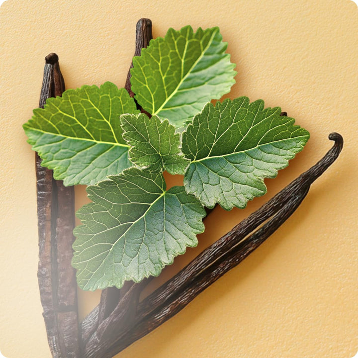 Elie Saab Girl of Now Shine 30 ml – Apă de parfum pentru femei – Parfum pudrat gurmand – Note de ananas, floare de migdal, vanilie și paciuli – Sticlă transparentă