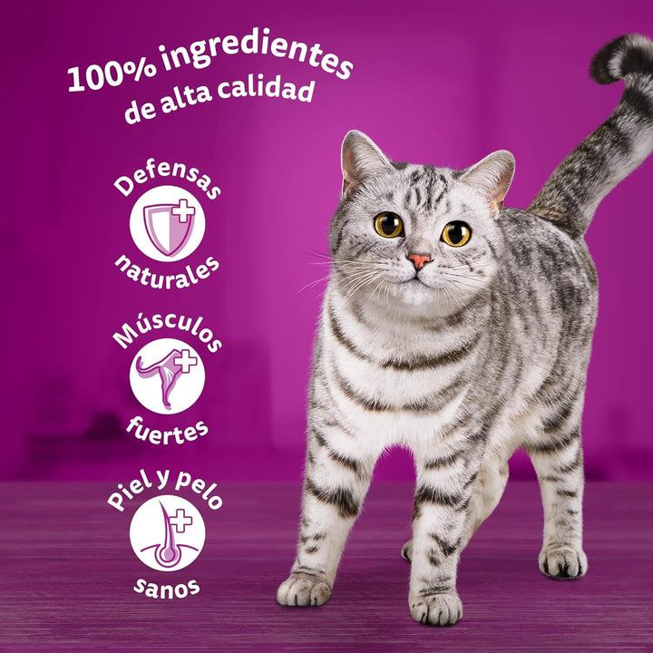 Whiskas hrană umedă în jeleu pentru pisici, adulți, selecție de pește, 13 X 4 pungi X 85 G