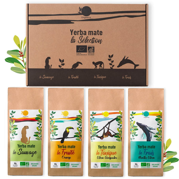 SET CADOU ORIGEENS CEAI MATE BIO X4 I Yerba Mate Bio 4X80G I Set ceai Yerba Mate, idee cadou