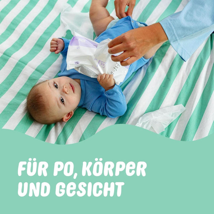 Naïf Plastikfreie Feuchttücher 864 Stück (16Er X 54 Feuchttuch) - Pflege Für Babypo, Körper Und Gesicht - 99% Aus Wasser - 0% Parfüm Und Alkohol - Nachhaltige Feuchttücherbox Eukalyptus Sensitiv