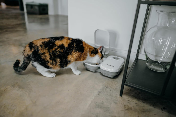 Cat Mate C200 Hrănitoare automată pentru 2 mese cu cronometru (401) - pentru pisici și câini mici, inclusiv baterie de răcire pentru hrană umedă și uscată, mese de până la 400 g fiecare, alb