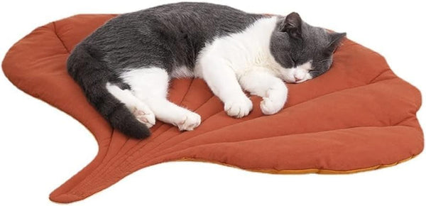 7WUNDERBAR Pat pentru pisici Pernă pentru pisici Moale Lavabilă, Loc de dormit pentru pisici Coș pentru pisici Canapea pentru pisici Pătură pentru pisici Pat pentru câini mici Pat pentru animale de companie (Frunze de Ginkgo)