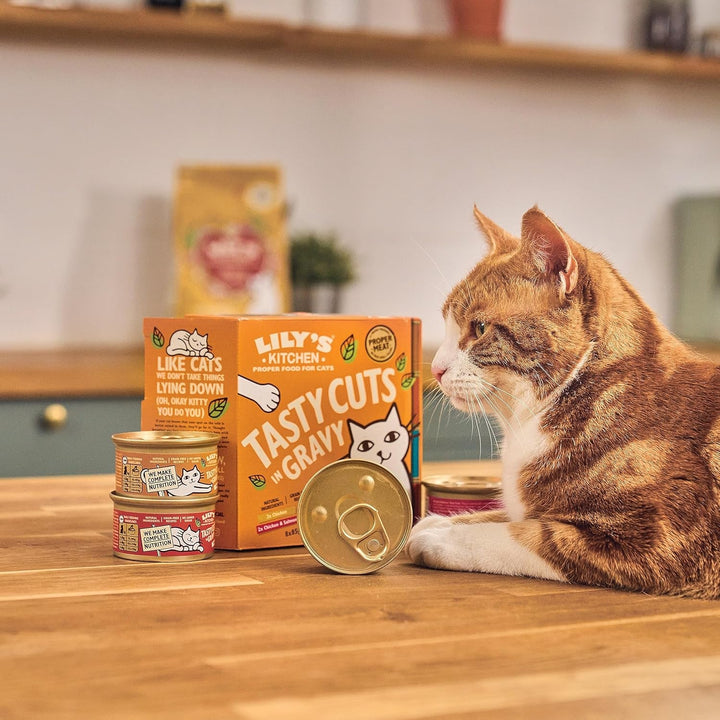 Lily'S Kitchen Hrană umedă naturală pentru pisici adulte, conservată, bucăți savuroase în sos cu pui, rețetă fără cereale (24 X 85G boluri)