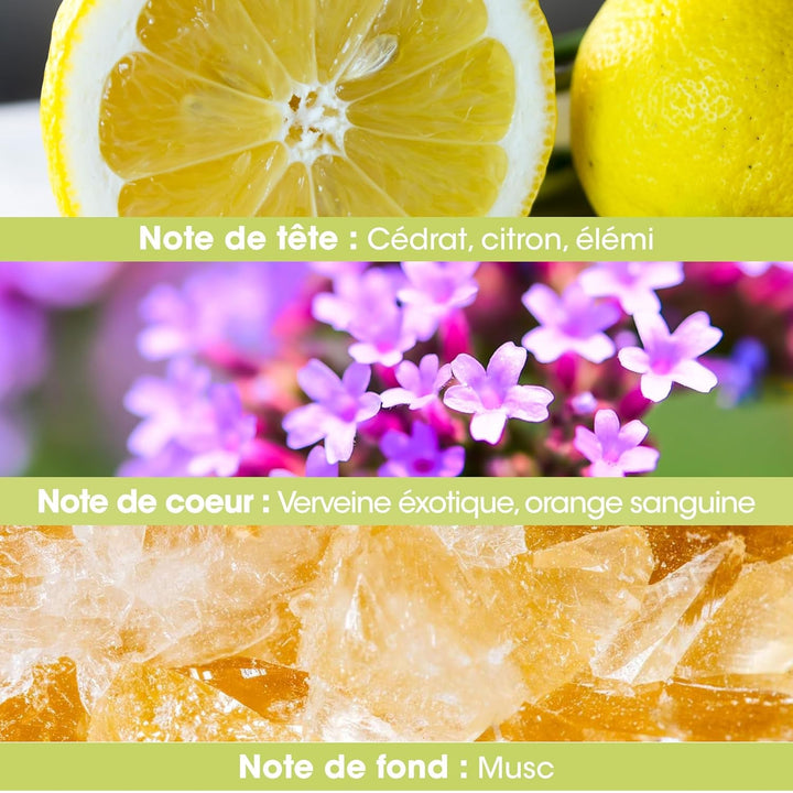 Parfum pentru femei – 1 bucată, 60 ml