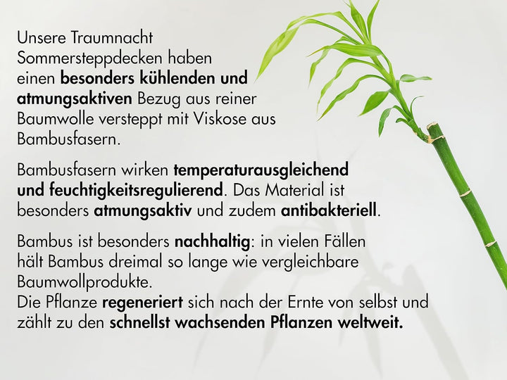 Traumnacht Pernă din bambus cu fibre de bambus, hipoalergenic, antibacterian Set de perne cu fermoar, format din 2 perne 40X80Cm, certificat Oeko-Tex, dezvoltat în Germania