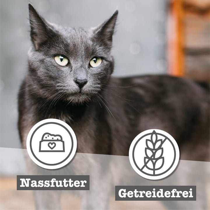 Hrană umedă pentru pisici Catz Finefood Senior Collection - Hrană umedă premium pentru pisica dumneavoastră senior - fără cereale, fără zahăr, conținut ridicat de carne, vitamine și minerale (cutie 6 X 200G)