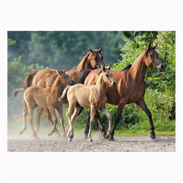 Imagine comestibila, vafa, format A4, Animale Imagini comestibile Nati Shop